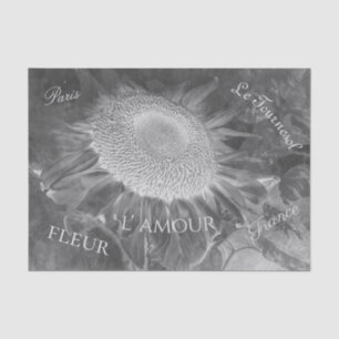 Sunflower Negative Black And White Vintage Script Tissue Paper