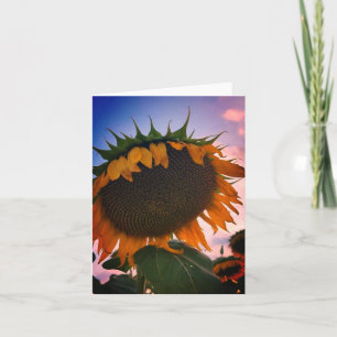 Sunflower Note Card