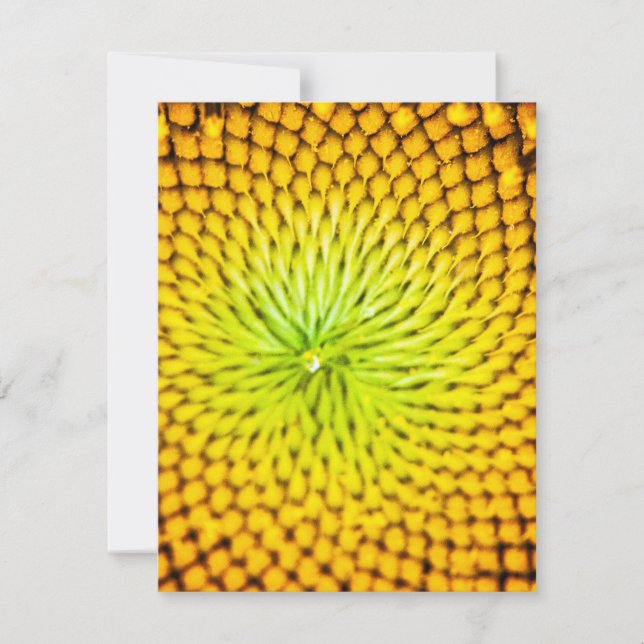 Sunflower Note Cards (Front)
