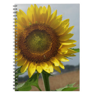 Sunflower Notebook