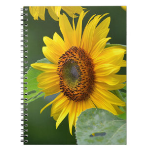 Sunflower Notebook