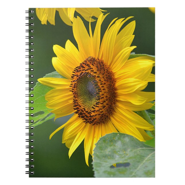 Sunflower Notebook (Front)