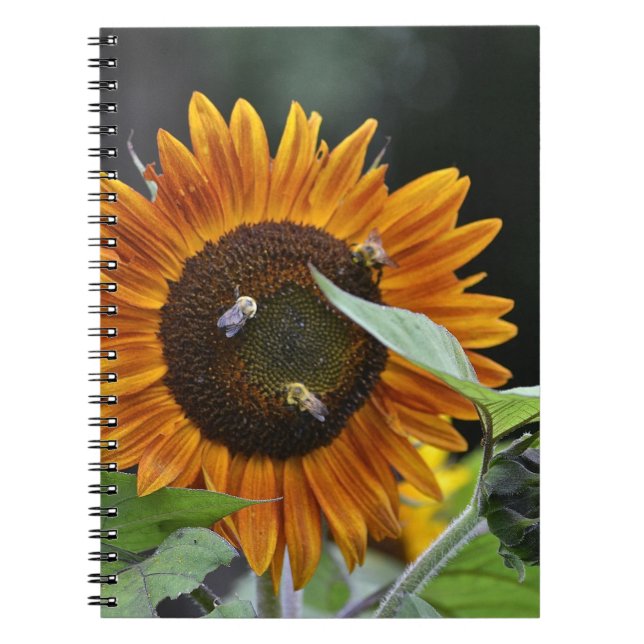 Sunflower Notebook (Front)