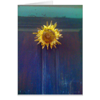 sunflower on a door