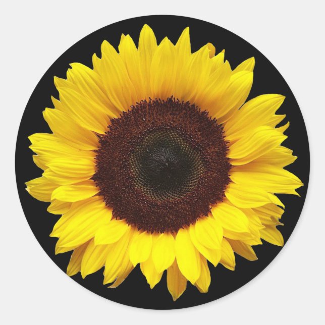 Sunflower on Black Round Gift Envelope Stickers (Front)