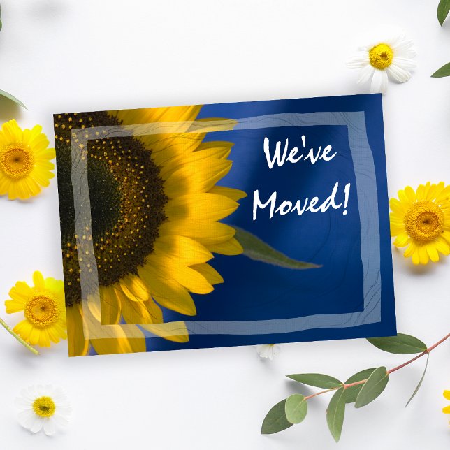 Sunflower on Blue Change of Address Announcement (Creator Uploaded)