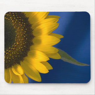 Sunflower on Blue Mouse Mat