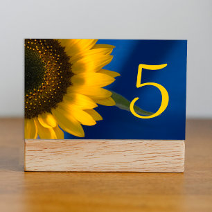 Sunflower on Blue Table Numbers