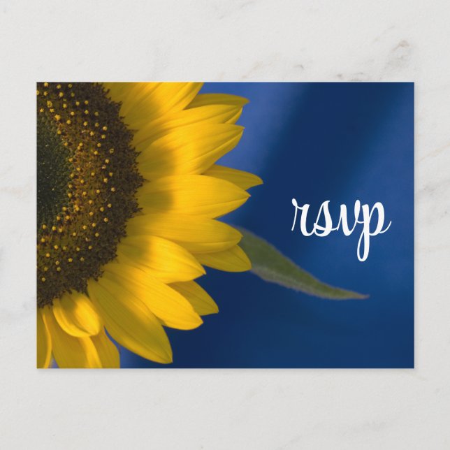 Sunflower on Blue Wedding RSVP Response Invitation Postcard (Front)