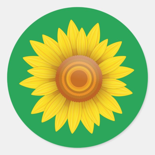 Sunflower on Green Classic Round Sticker (Front)
