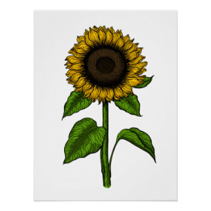 Sunflower on orange poster
