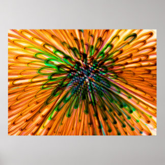 Sunflower organs poster