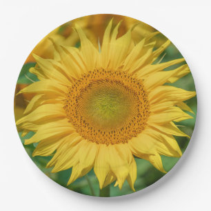 Sunflower Paper Plate