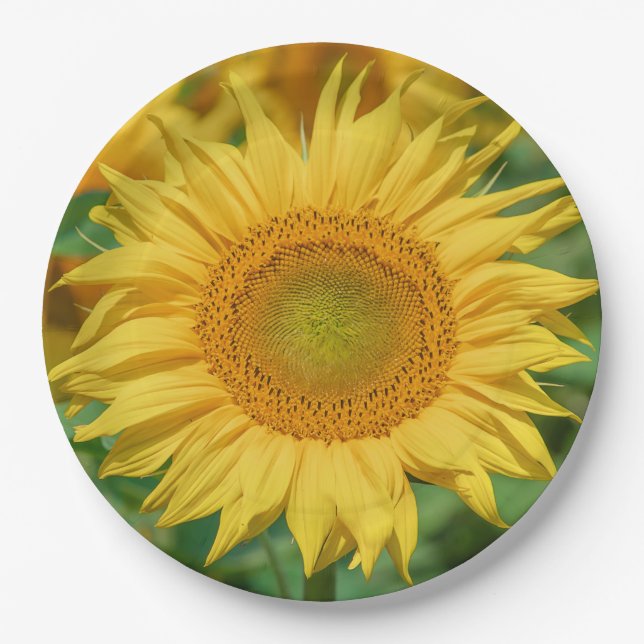 Sunflower Paper Plate (Front)
