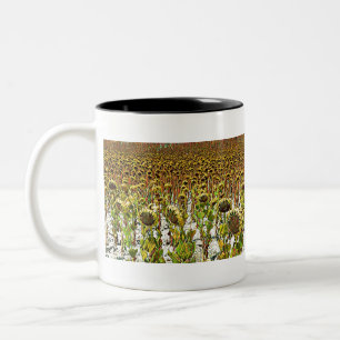 Sunflower Patch Two-Tone Coffee Mug