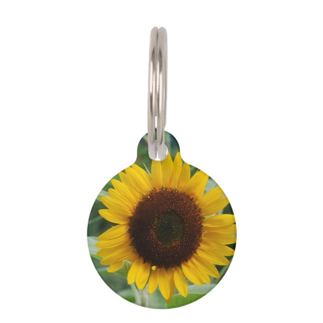 Sunflower Pet Tag (Front)