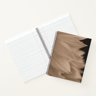 Sunflower Petals in Sepia Tone  Notebook