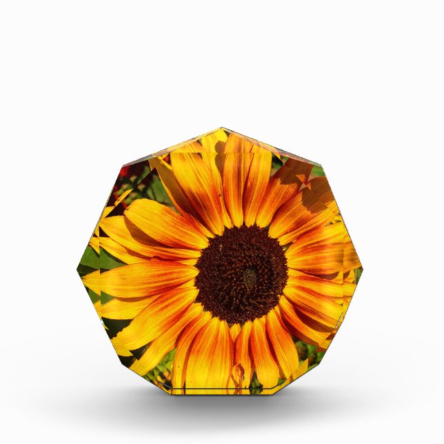 Sunflower Photo Block (Front)