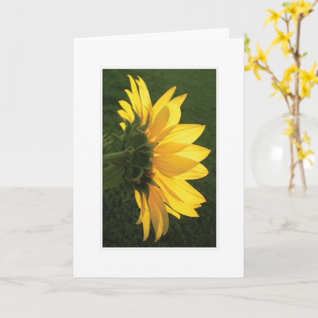 Sunflower Photo Card (Yellow Flower)