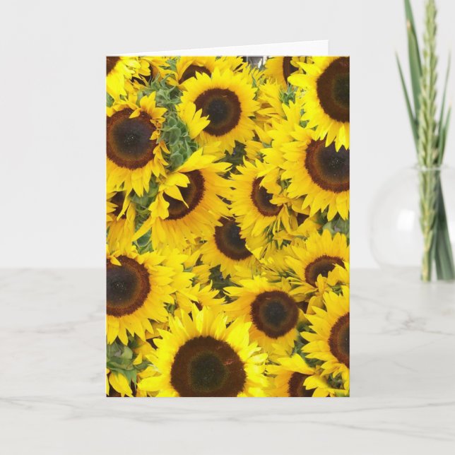 Sunflower Photo Cards (Front)