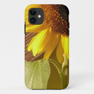 Sunflower Photo iPhone 11 Case