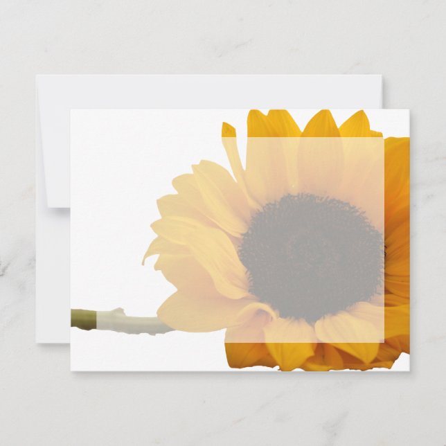 Sunflower Photo Flat Note Cards (Front)