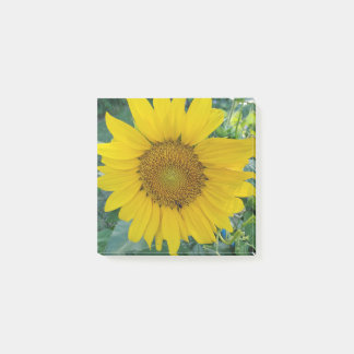 Sunflower Photo Post-it Notes