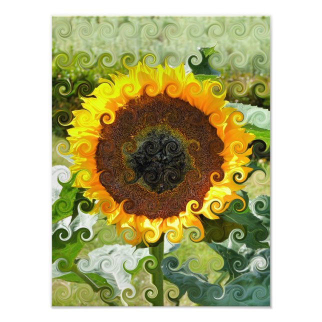 SUNFLOWER PHOTO PRINT (Front)