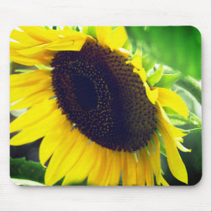 Sunflower Photo printed on a Mousepad