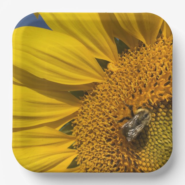 Sunflower Photo Summer Bee Botanical Garden Paper Plate (Front)