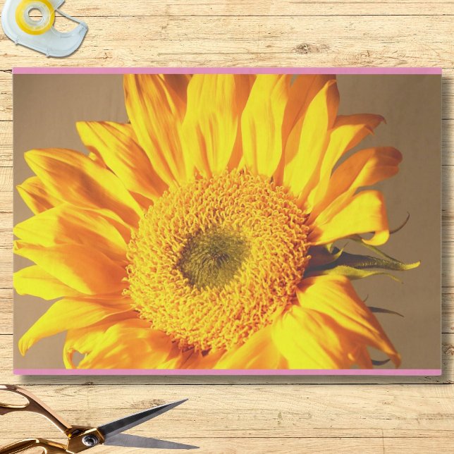 Sunflower Photo Tissue Paper (Creator Uploaded)