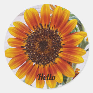 Sunflower Photo with Yellow Orange Gradient Colour Classic Round Sticker