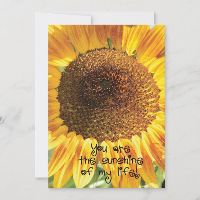 Sunflower Photograph | You Are the Sunshine Thank You Card (Front)