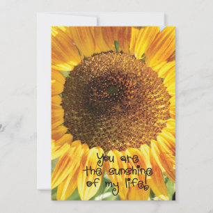 Sunflower Photograph You Are the Sunshine Thank You Card