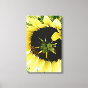Sunflower Picture Canvas