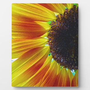 Sunflower Plaque