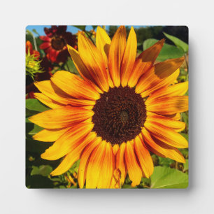 Sunflower Plaque