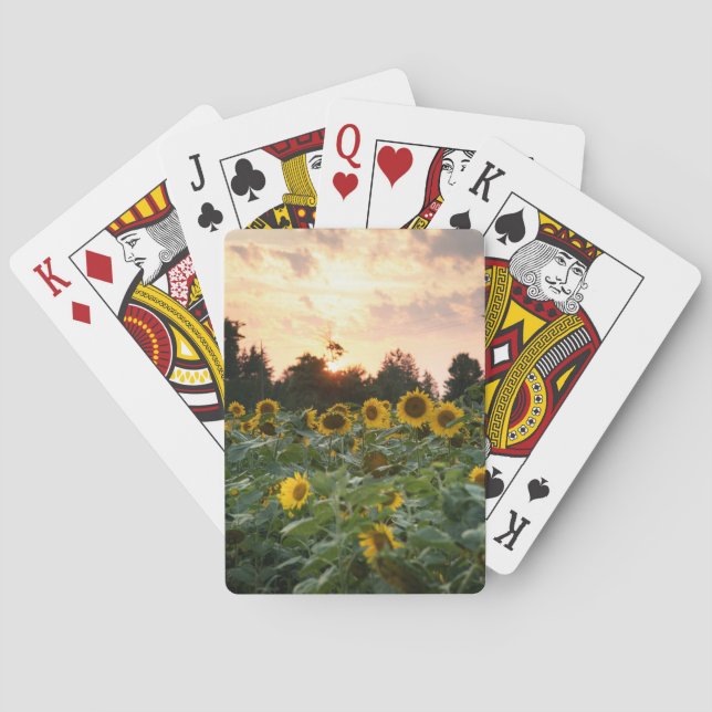 Sunflower Playing Cards (Back)