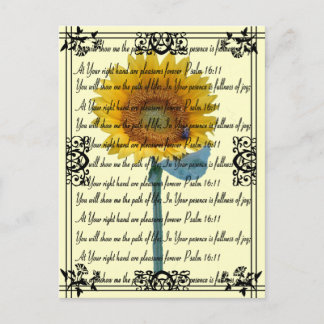 Sunflower Pleasures... Postcard