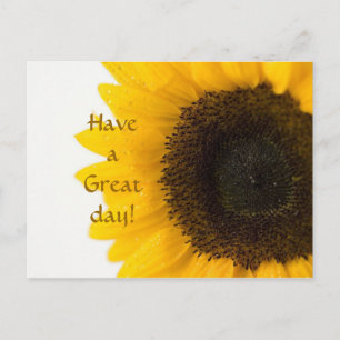 Sunflower Postcard