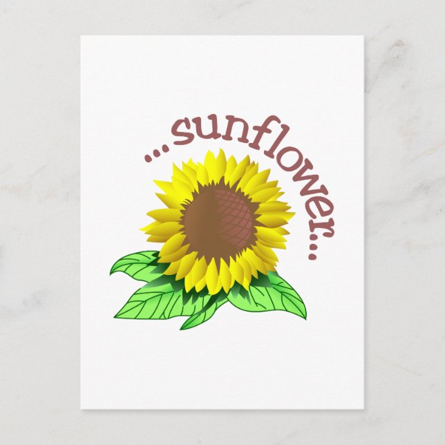 Sunflower Postcard (Front)