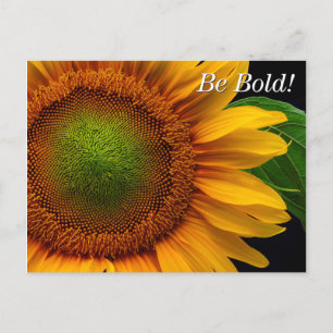 Sunflower Postcard