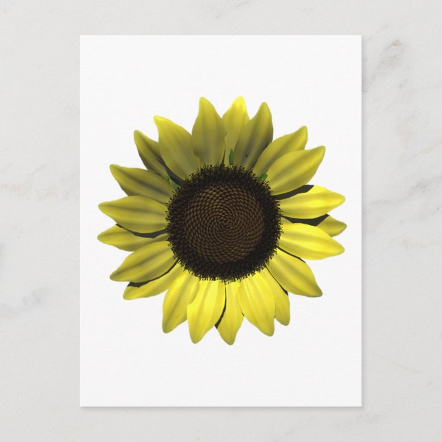 Sunflower Postcard (Front)