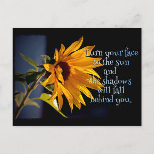 Sunflower Postcard