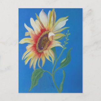 Sunflower Postcard
