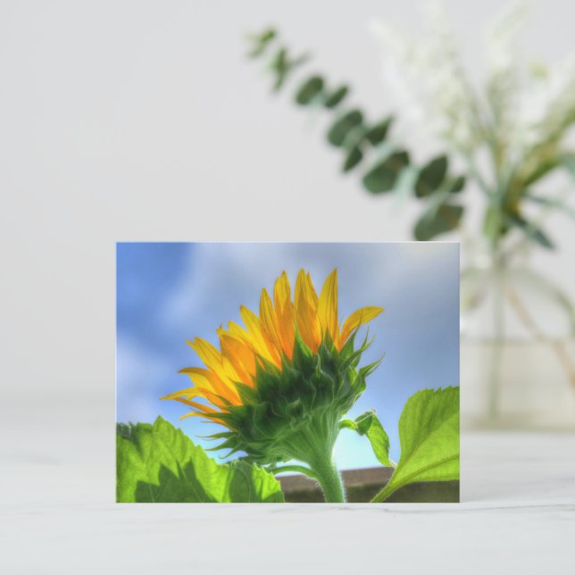 Sunflower Postcard (Standing Front)
