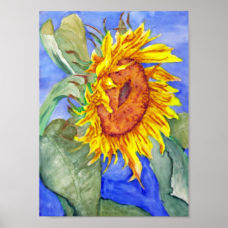 Sunflower Poster