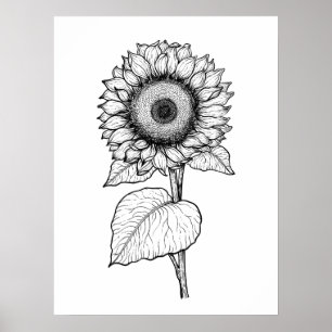 Sunflower Poster