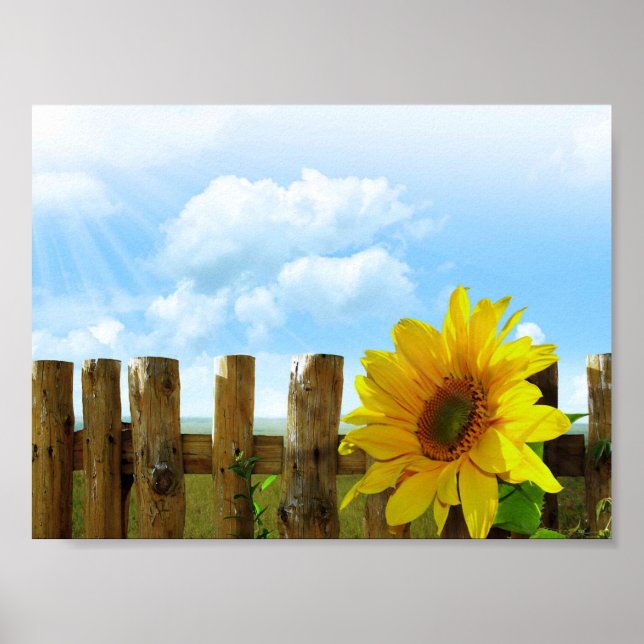 Sunflower Poster (Front)