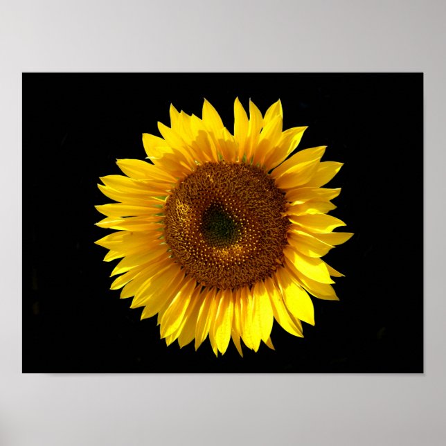 Sunflower Poster (Front)